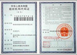 南島公司組織機構代碼證